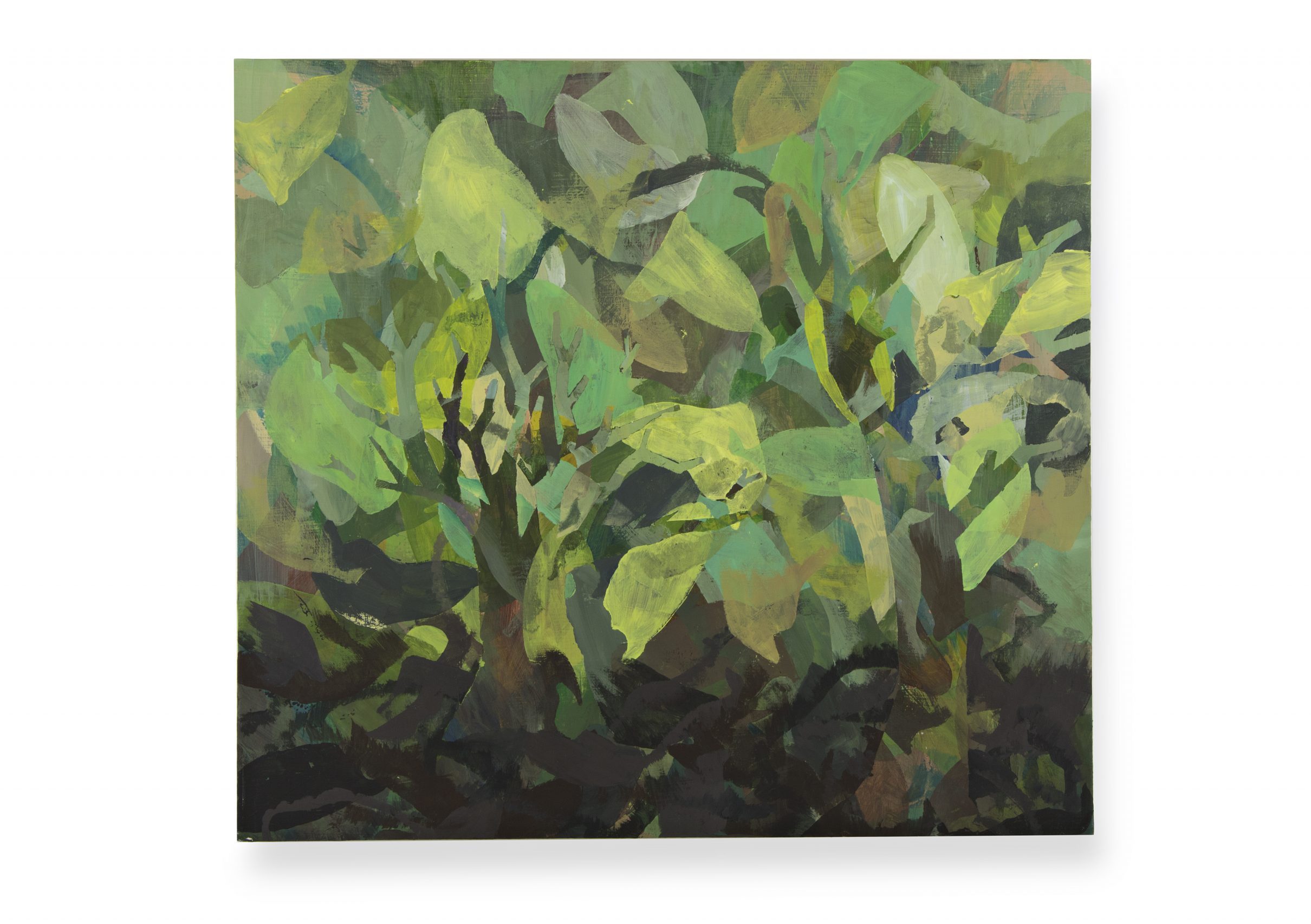 Winter 2026: Great Expectations