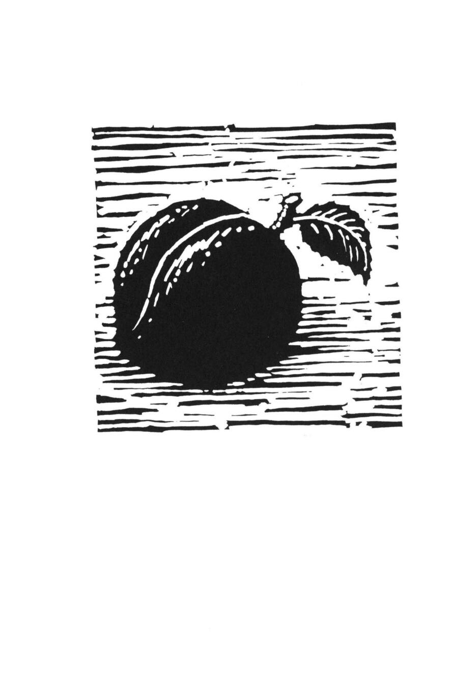 Bittersweet Bingeing