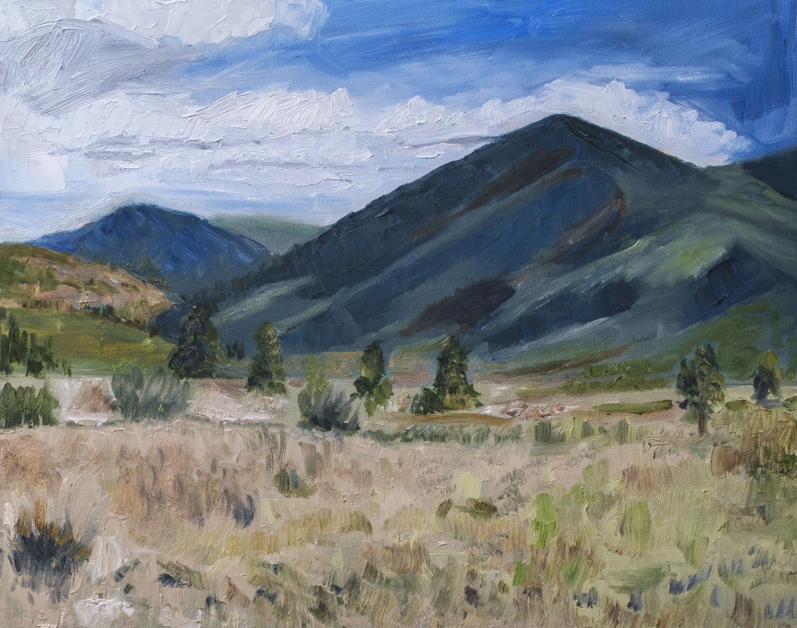 A grassy field leading to dark mountains and a cloudy sky